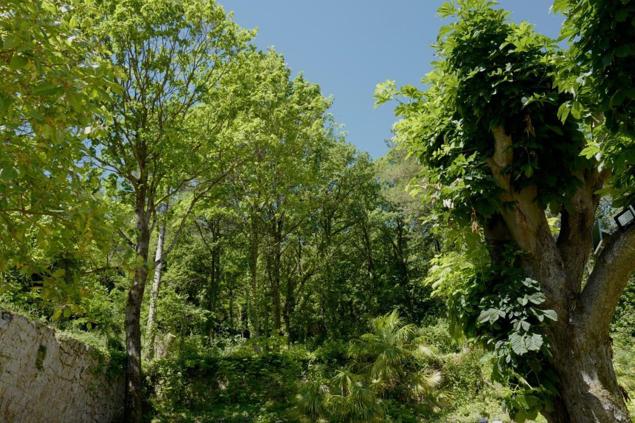 Hotel De Ma Tante Lamalou-les-Bains Exteriér fotografie